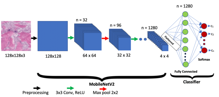 Training Metrics